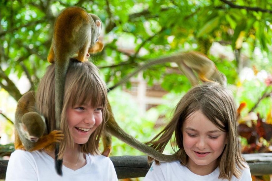 Monkeyland in der Dominikanischen Republik - freilaufende Affen in tropischer Umgebung
