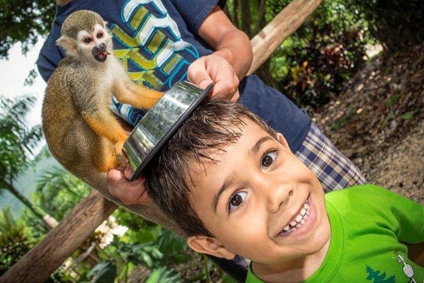 Aussichtspunkt mit Blick über die Hügel von Monkeyland