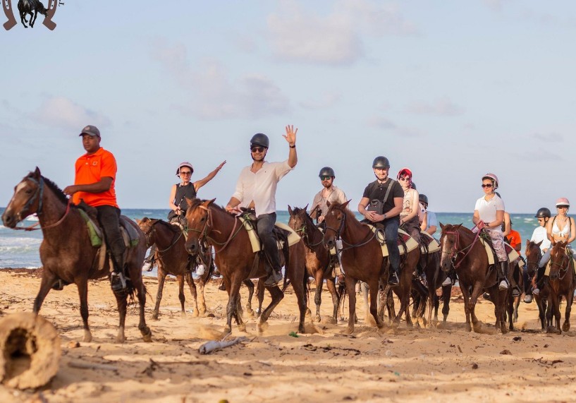 Reitausflug am Macao Beach - Pferde im türkisfarbenen Wasser mit Palmen im Hintergrund