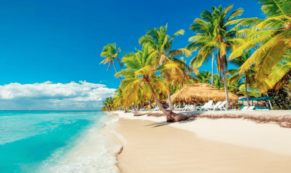 Saona Island Ausflug